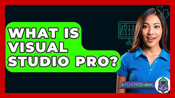 What Is Visual Studio Pro? - Next LVL Programming