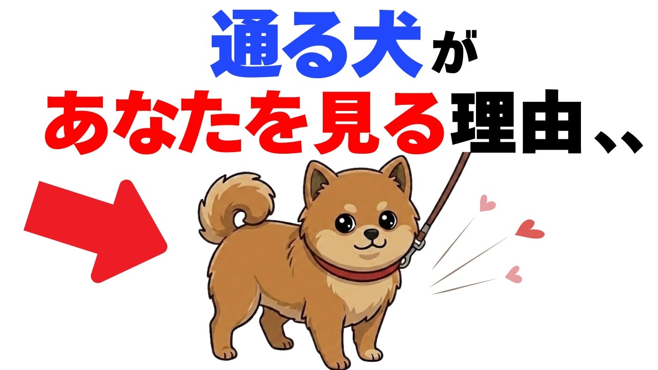 【意外と知らない】通りすがりの犬があなたを見る理由