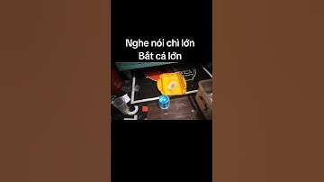 Lâu lâu khách chơi lớn dzữ.#Bengb #Câucáchim #Thẻotầng