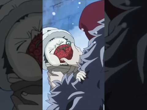 لماذا لا يأكل الجميع فواكه الشيطان في عالم ون بيس