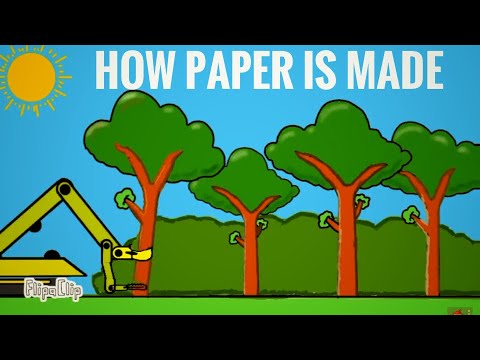 How paper is made animation