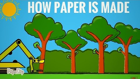 How paper is made animation