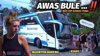 GAYA MANUVER SUPIR BUS KEBANGGAAN DANAU TOBA | NGONTEN BERSAMA BULE | LOVE DANAU TOBA 😍🥰