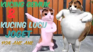 LAGU POK AME AME || KUCING ANIMASI || CAT DANCE