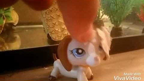 Lps Intro Commissions! (Open 2016)