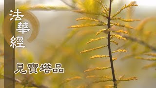 【靜思妙蓮華】法華經見寶塔品 - 寶樹莊嚴 五忍為座 - 20221102 第1276集