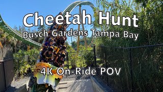 Cheetah Hunt at Busch Gardens Tampa Bay  | 4K On-Ride POV