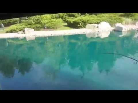 Fishing Planet - Trophy Blue Catfish Michigan PT/BR from YouTube · High Definition · Duration: 9 minutes 36 seconds · 7,000+ views · uploaded on 10/19/2015 · uploaded by Rene Sc4r3crow Fishing Planet - Trophy Blue Catfish Michigan PT/BR from YouTube · High Definition · Duration: 9 minutes 36 seconds · 7,000+ views · uploaded on 10/19/2015 · uploaded by Rene Sc4r3crow