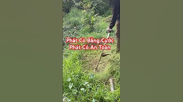 Phát Cỏ Bằng Cước - Máy Phát Cỏ Balô  @AnhCắtCỏ #anhcatco  #maycatco