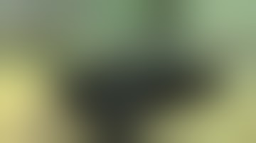 [CMLV-RP] Willowfield , Never Fuck !