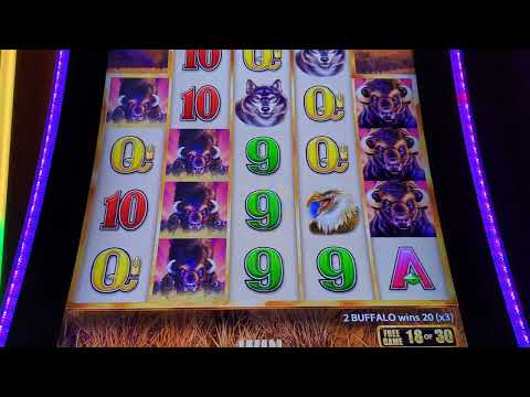 Lion Link Slot Machine | 75 cents bet | 8 free games | June 21, 2025