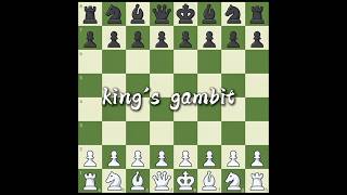 king's gambit 🔥🔥 #chess #youtubeshort