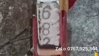 Bình Vlog 07 - Lộc Ba Càng Chủ Nhật Ngày 4 Tháng 1 - Bình Tâm Linh