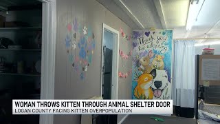 Woman throws kitten into Logan County shelter after being told of surrender fee