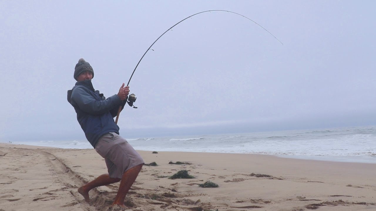 Surf Fishing the California Coast (Unexpected Catch x2) 