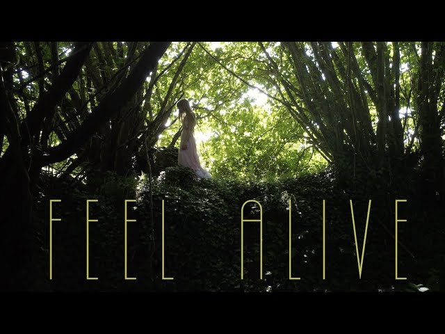 Shakkalo - Feel Alive (Official Music Video) class=