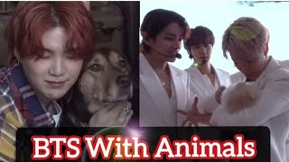 BTS With Animals🐈🐕🐥