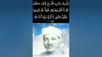 وأحيط بثمره فأصبح يقلب كفيه على ما أنفق فيها وهي خاوية على عروشها  - سورة الكهف - عبدالباسط عبدالصمد