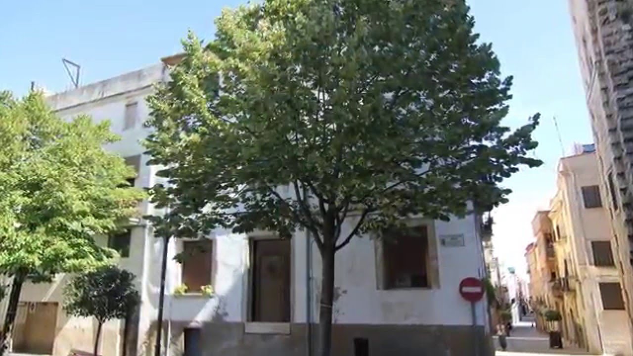 La Selva del Campo o La Selva del Camp