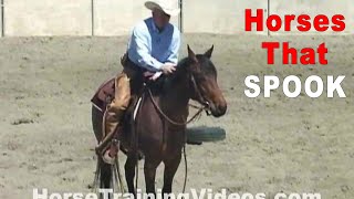 Horses That Spook - What To Do