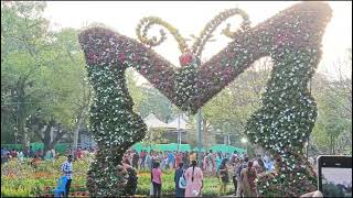 சென்னை செம்மொழி பூங்காவில் மலர் கண்காட்சி#chennai _ il flowershow