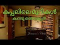 Ep#23 Ship's Room Tour I കപ്പലിലെ മുറികൾ കണ്ടാലോ ??