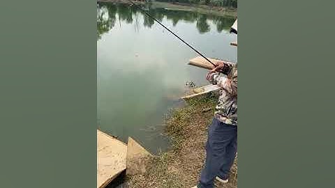 Vlogs 132 Báo cá - Hồ câu Thái Dương 0933110009 KP Tân Ba, P. Thái Hòa, Tân Uyên, Bình Dương