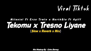 Tekomu x Tresno Liyane Milenial Ft Erza Trwln x NorthSle Ft Agiff (Slow x Reverb Mix) CIDRO BARENG🎧