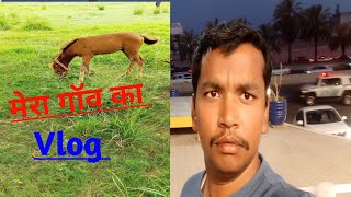 Pahli bar ghoda ka video viral vlog video Delhi Lifestyle Video vlog