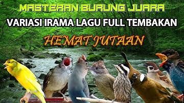 #5 LIVE MASTERAN BURUNG VARIASI IRAMA LAGU FULL TEMBAKAN KASAR
