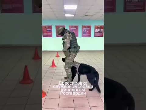 китайский прием