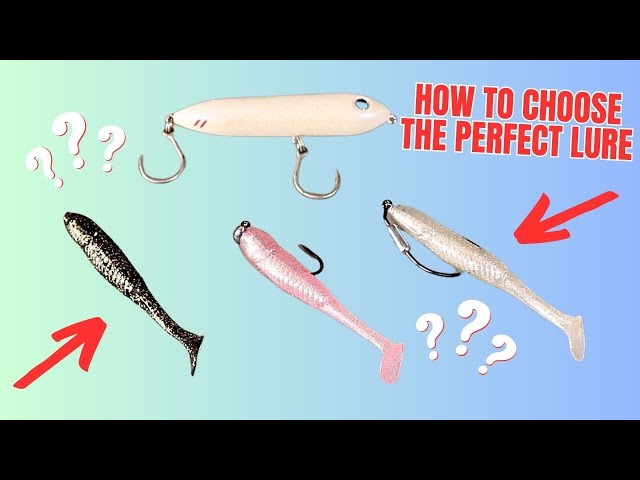 How To Choose The PERFECT LURE For Every Species, Depth