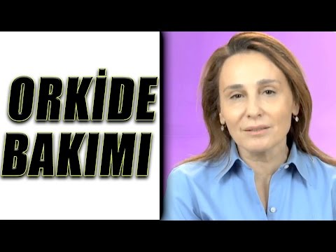 Orkide Bakımı Nasıl Yapılır?