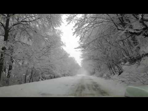 საბადურის ტყე---Sabaduri forest 11/02/2017   (1080p)