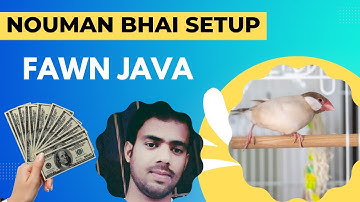 Nouman Bhai Fawn Java Setup #javasparrow #fawnjava