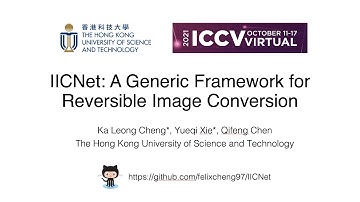 IICNet: A Generic Framework for Reversible Image Conversion Presentation
