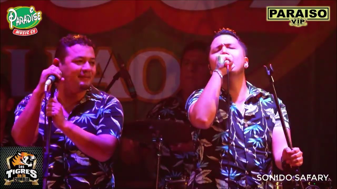 SIN TU AMOR LOS TIGRES DE LA CUMBIA PLAYA DE HUACHO