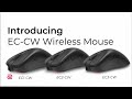 Zowie eccw series wireless mouse for esports