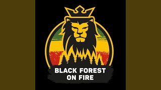 Black Forest On Fire (Acoustic)