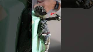 They Thought This Was a Real Mermaid 😱