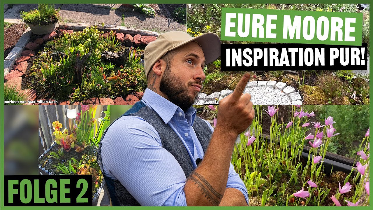 Community Moore – Die kreativsten Moorkübel & Moorbeete aus der Community! #316