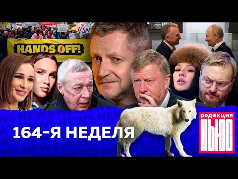 Редакция. News: 164-я неделя