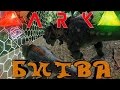 ARK - БИТВА АРМИЙ