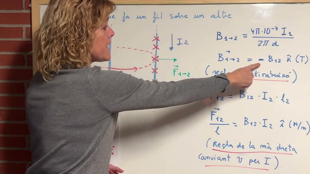 3.13.1 Força que fa un fil sobre l'altre