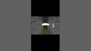 MINECRAFT | NETHERITE SWORD😱 VS NETHERITE AXE TEST IN WITHER SKELETON#shorts
