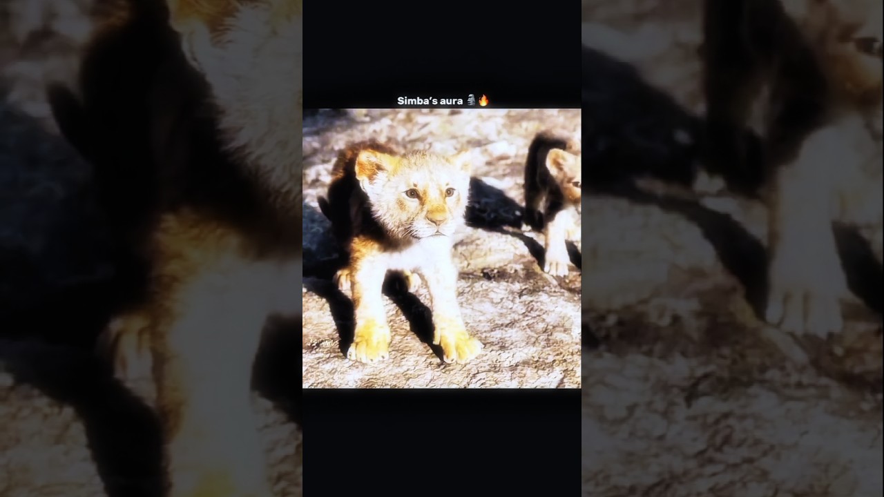 simba aura 😈 