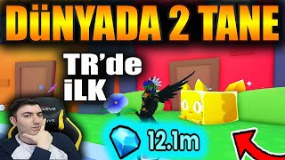 Oyunun En Nadir Huge Peti - 12 Milyon Elmas Harcadım / Roblox Pet Simulator 99