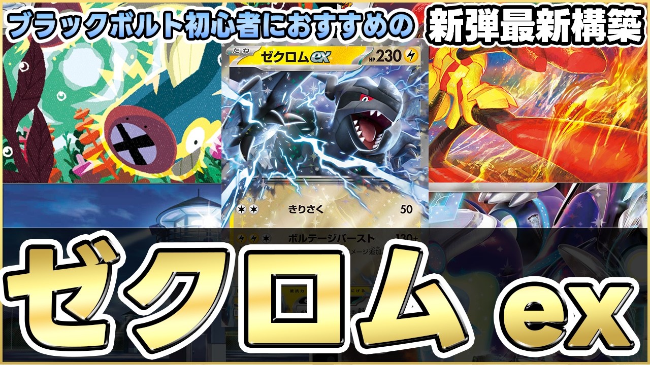 注目のブランド combo Shibireel and Zekrom The Cards] Pokemon is strong too ポケモンカードゲーム