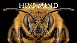 The Invisible Intelligence  How Superorganisms Defy Evolution