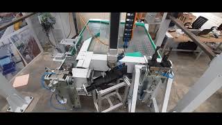 XYZ Modular Gantry /Cartesian Robots by IICPL